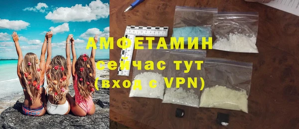 гидра Аркадак