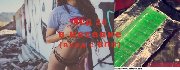 гидра Аркадак