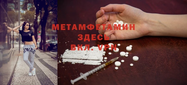 гидра Аркадак