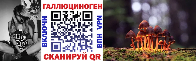 кракен зеркало  сколько стоит  Саки  Галлюциногенные грибы MAGIC MUSHROOMS 